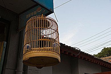 数学课代表哭着说不要｜数学课代表泪与勇：挑战与角色成长之旅