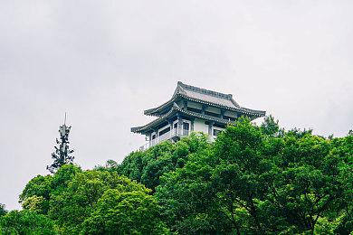 oopo黄色软件大全｜OOPO软件：塑造时代潮流，挑战多元需求